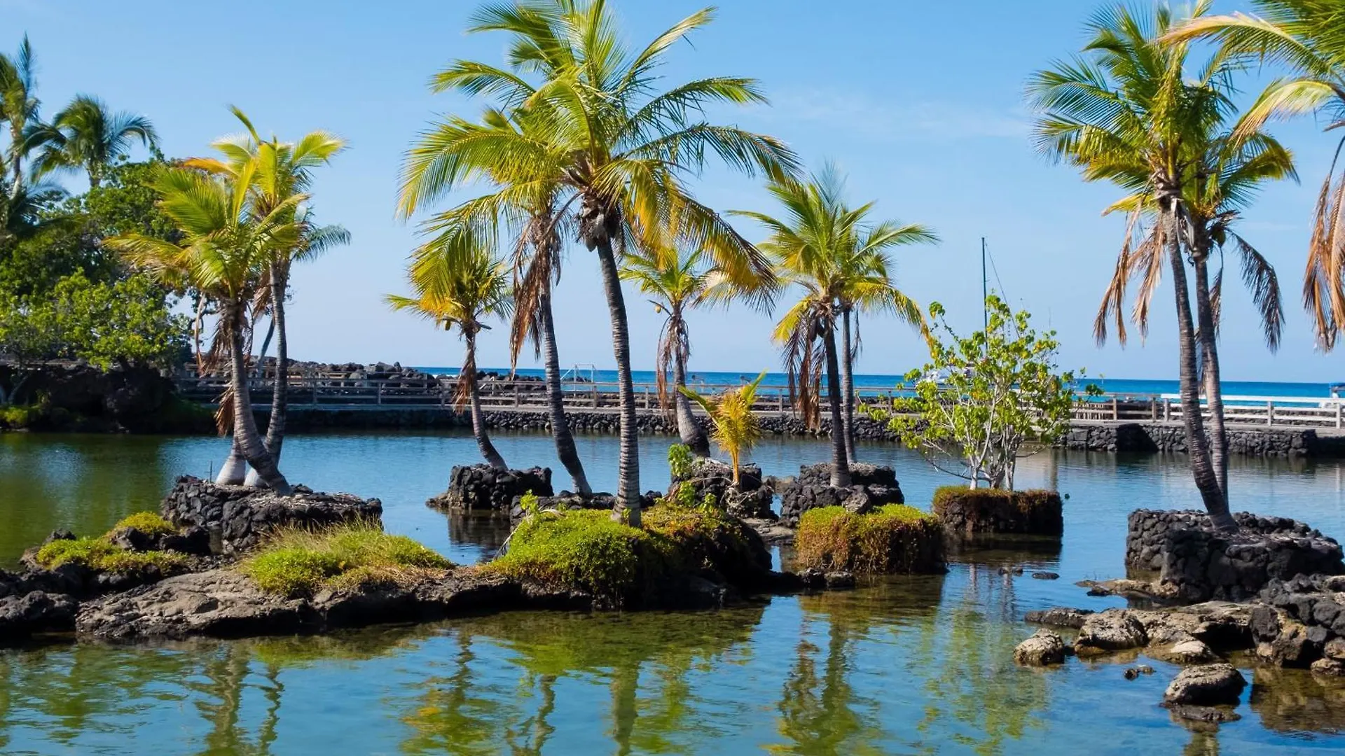 Mauna Lani Fairways 204 Ваиколоа-Виллидж Апартаменты